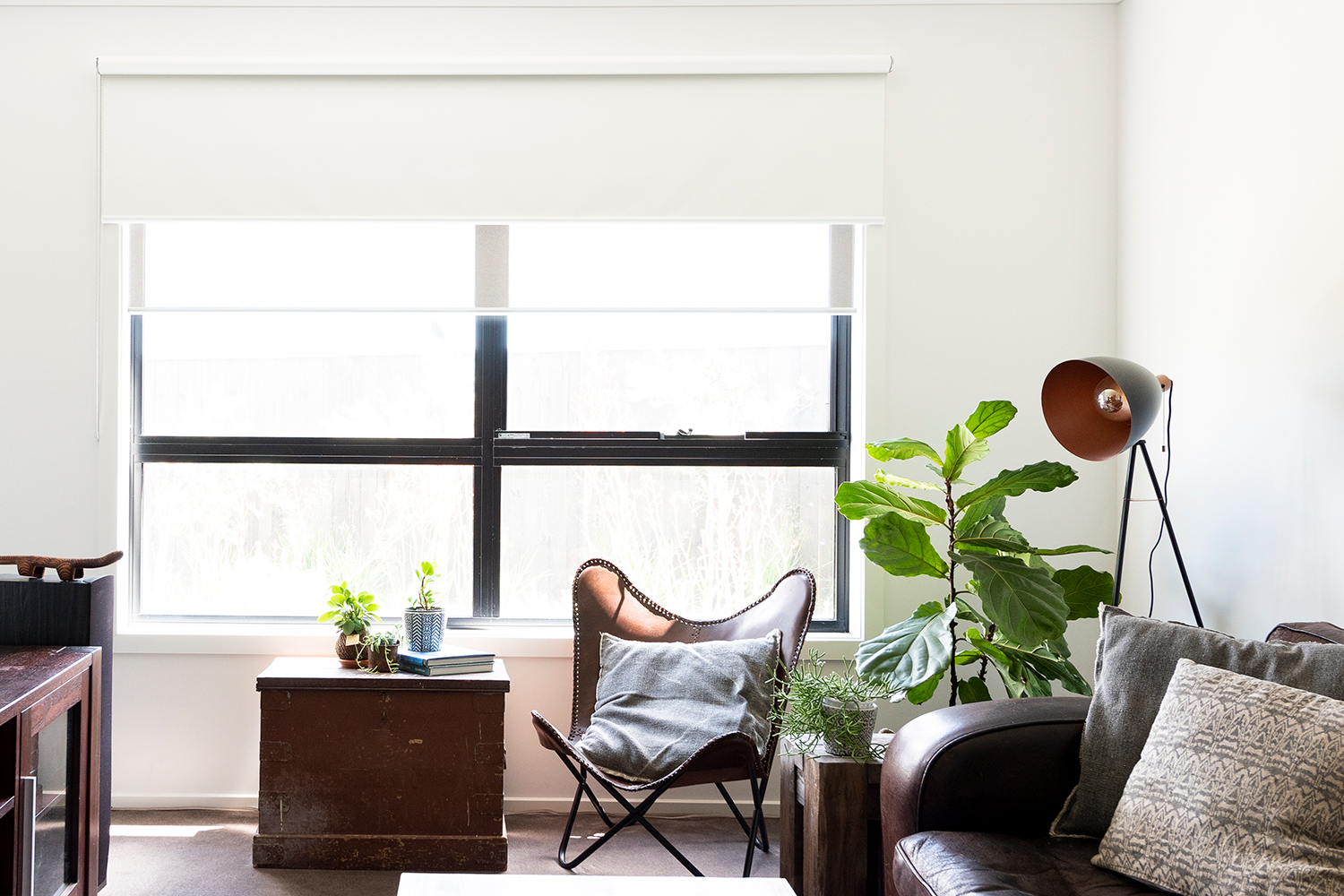 Double Roller Blinds