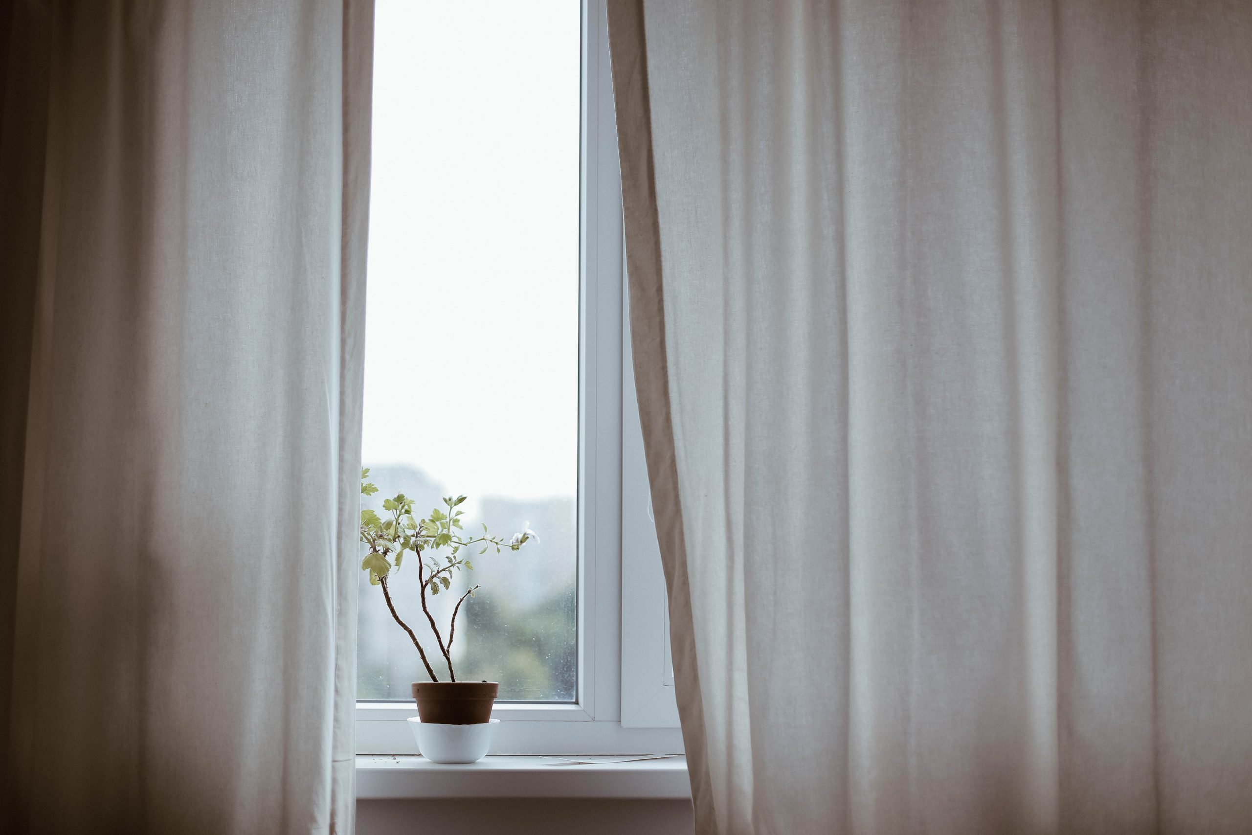 Sheer Curtains