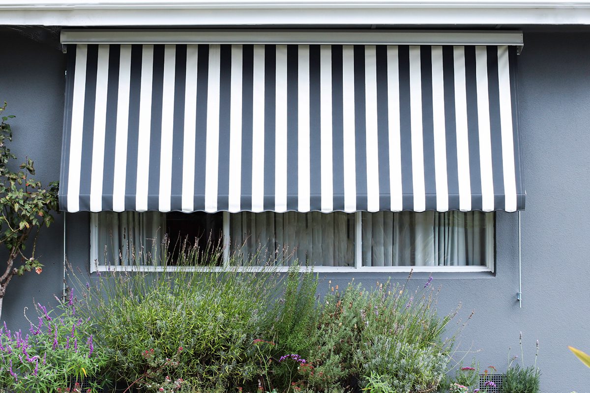 The Edlin’s. dollar curtains + blinds