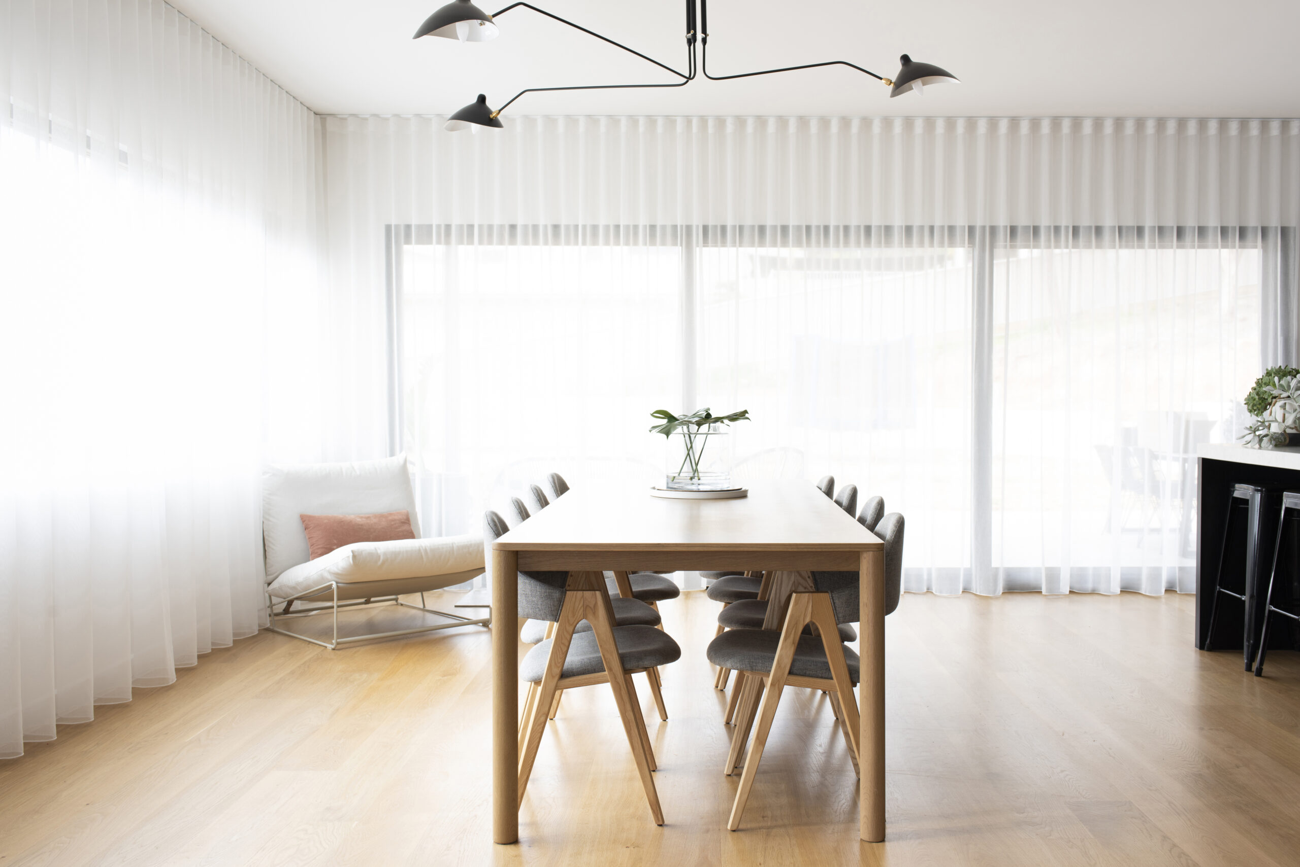 Specials dollar curtains + blinds